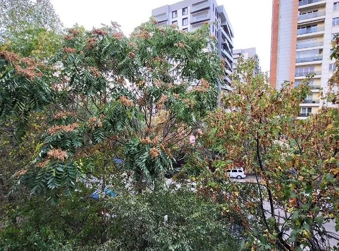 Large And Comfortable Mall Vitan Area *