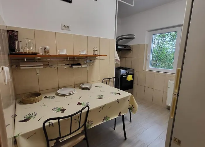 Apartament Large And Comfortable Mall Vitan Area