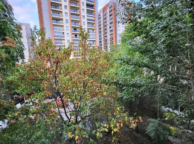 Large And Comfortable Mall Vitan Area